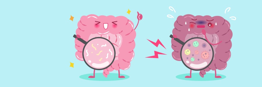 Blogimg-Importance-of-Colon-Health